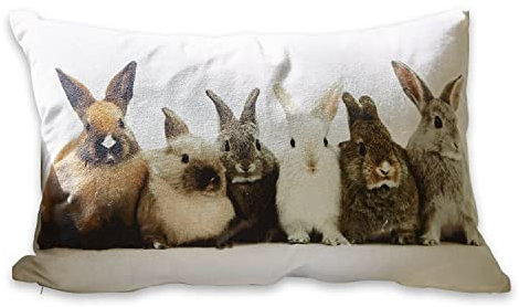 Loberon Kissen Clique, süßer Hasen-Print, kuschelweiche Qualität, Osterhasen-Druck, Ostern, Ostertextilien, Osterdeko, Zierkissen, Baumwolle, Polyester, weiß