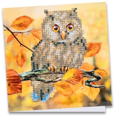 Ideen mit Herz Diamond-Painting-Grußkarte | Strass-Edition | 16 x 16 cm | 370 g/m² | inkl. Steine, Umschlag & Werkzeug (Eule 01)