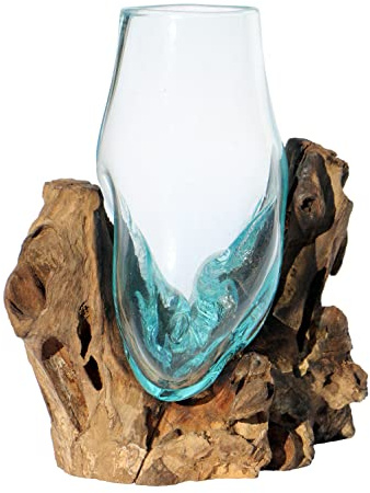 Wogeka - Vase en verre pour bois de racine Gamal - Style moderne en bois comme idée cadeau pour Noël, anniversaire (verre de grande taille S (diamètre verre 12-14 cm))