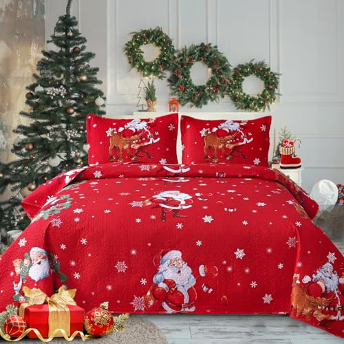 Weihnachts-Steppdecken-Set für Queen-Size-Betten, leichte Tagesdecke, Urlaub, rote Bettwäsche, Weihnachtsmann, Schneeflocke, Weihnachtsdekoration (228,6 x 228,6 cm)