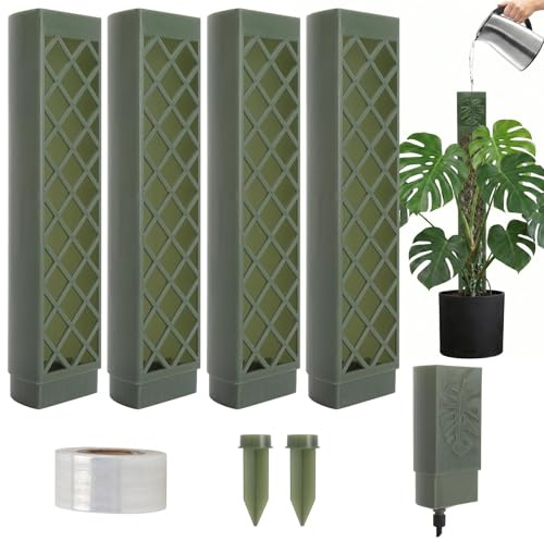 Monstera Tuteur Extensible pour Plantes d'intérieur - Arrosage Automatique | Pour plantes Monstera, Support pour plantes grimpantes, Pour plantation de jardin, Lierre