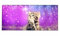 Silent Monsters Mauspad XXL 900 x 400 mm großes Mousepad Katze - Vernähter Rand, rutschfest & leise, für Gaming Büro Office Homeoffice - Tastatur - 90 x 40 cm groß Mouse Pad Mat - alle Maus Arten