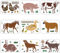 FINGERINSPIRE 9pcs Farm Animals Stencils 29.7 x 21 cm Farm Poultry Animal Drawing Stencil Animals Template for Painting on Walls Canvas Wood Tiles Paper Floor