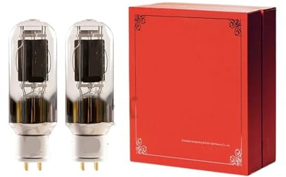 E-845 E845 tube HIFI audio tube replaces 845 WE845 A845 tube amplifier kit DIY supporting four-way(4pcs Matched Quad)