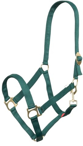 Imperial Riding Halfter Economic, Robustes 25 mm Nylonhalfter verstellbare Schiebeschnalle, Karabiner-Kehlriemen, langlebig & pflegeleicht, für Training, Stall & Alltag, Waldgrün, Xfull