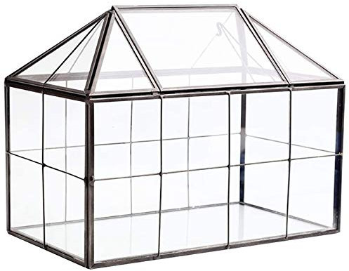 Lodokdre Glas Terrarium Handgemachtes Haus Form Geometrisches Glas Behälter mit Schwenkdeckel für Sukkulenten, Kakteen, Farnen, Luftpflanzen