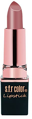 Mehrfarbig Mattes Lippenstift Set Samt Lippenstift Matt Wasserdicht Antihaft Becher Lippen Make Up Geschenkbox für Mädchen und Frauen für Alltägliche Reisen Partys Geschenke Weihnachtsgeschenke