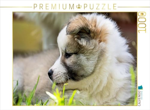 CALVENDO Puzzle Portrait Einer kleinen Schönheit | 1000 Teile Lege-Größe 64 x 48 cm Foto-Puzzle für glückliche Stunden