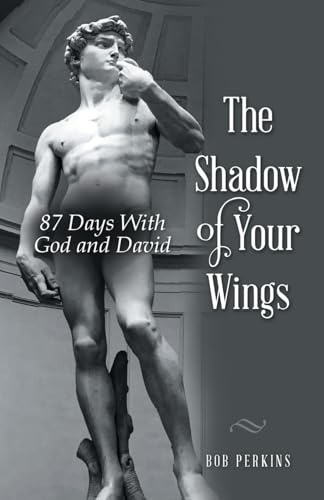The Shadow of Your Wings: 87 Days With God and David