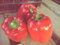 Géant chinois Biologique certifié Poivron rouge Graines (~ 35): non-OGM Heirloom