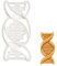 DNA Ausstechform, 1 Teil, Bakerlogy