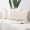 Madizz 2er Set Sanft Plüsch Kurze Wolle Samt Dekorativ Zierkissenbezüge Luxus Stil Kissenbezug für Sofa für Schlafzimmer Beige 40x60 cm Rechteckig