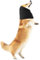 Amaxiu Tour de Cou et Oreilles pour Chien, Protection Contre Le Bruit, Snood, Cache-Oreilles Silencieux pour Soulager l'Anxiété, Le Bain, Le Toilettage (L, Noir)