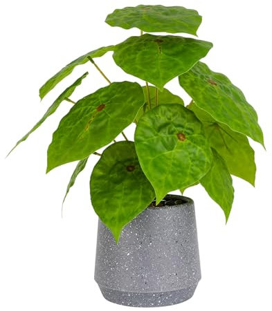 Veryhome Planta artificial artificial en maceta, plantas suculentas falsas en maceta de 32 cm, planta verde falsa grande para decoración del hogar, escritorio, sala de estar