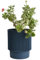 B2C Plant Pots Flower Planter 3 Colours 3 sizes Plastic Pot Modern Elegant Textured Modern Home Garden Indoor Outdoor use Convex stripes (Dark Blue, W15cm x H18cm)