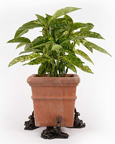 Potty Feet Large Resting Hare Figures Plant Pot Feet - Planter Support - Handmade Decorative Ornaments - 3pcs