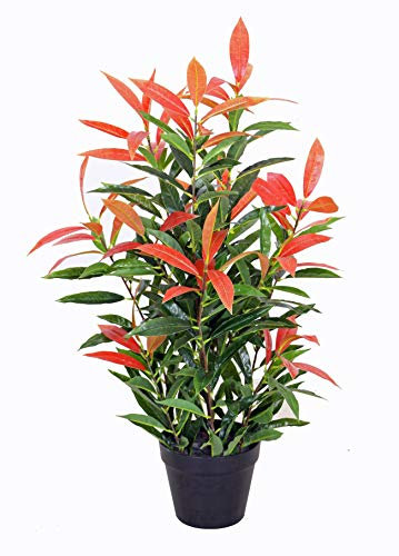 Künstliche Glanzmispel PHOTINIA ca. 80 cm hoch Kunstpflanzen künstliche Pflanzen JWS2641