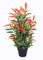 Künstliche Glanzmispel PHOTINIA ca. 80 cm hoch Kunstpflanzen künstliche Pflanzen JWS2641