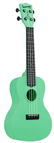 Kala Brand Music Co. The Waterman Beach Collection 4-saitige Ukulele rechts Sea Foam Green Concert (KA-WMS-GN-C)