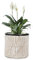 VOSSMOON 20cm Plant Pots Indoor Round Flowerpots, Large Garden Concrete Planter Outdoor Durable than Ceramic or Plasic Plant Pots, Plant Containers with Drainage Holes, Grey