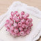 Rtengtunn Baies givrées artificielles, 40 pièces décoratif Mini noël givré Fruits Baies Houx Fleur Artificielle - Rose