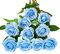 DuHouse 10 rose finte fiori di seta artificiali fiori di rosa finto fiore lunghi steli bouquet per organizzare matrimoni centrotavola festa casa decorazione cucina(Blu cielo)