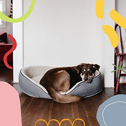 Music for Doggy Day - Trumpet and Alto Sax