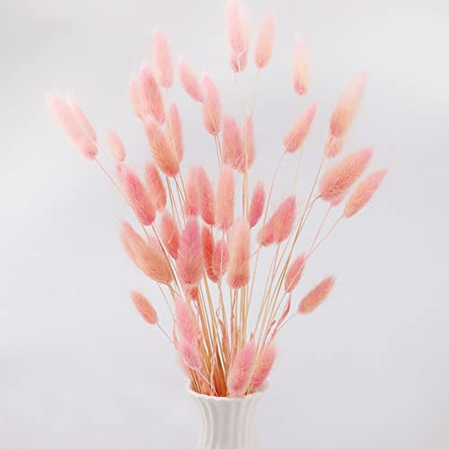 Hileyu 50 pièces 45cm Fleurs lagures ovales Naturelles séchées Plantes Blanches en Forme de Queue de Lapin lagures sechees pour décoration de Maison, Mariage (50Pcs Pink)