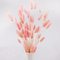 Hileyu 50 pièces 45cm Fleurs lagures ovales Naturelles séchées Plantes Blanches en Forme de Queue de Lapin lagures sechees pour décoration de Maison, Mariage (50Pcs Pink)