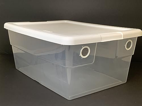 Belüfteter Vivarium-Behälter mit 2 Belüftungsöffnungen, Terrarium für Isopoden, Reptilien, Skorpione und andere Wirbellose