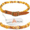 Bernsteinkette Hund | Verstellbares Bernsteinhalsband für Hunde & Katzen mit ORANGE Lederband | Hundehalsband | Natürliches Halsband aus echtem Bernstein Vierbeiner (35-40CM)