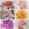 bulbi di giglio ragno - lycoris radiata piante resistenti in vaso, fiori rossa da giardino perenni resistenti 10pcs