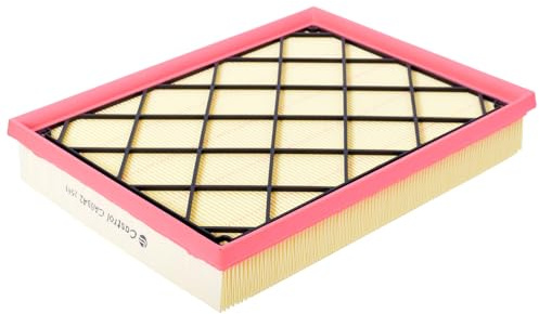 Castrol Filters CA0342 Air Filter