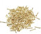 sourcing map Clou Petit Minuscule Acier Carbone 1X10mm(DxL) pour Bois Bricolage Décoratif Photo Boîte Ménage Accessoire Laiton Ton 200pcs