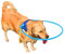 Yolispa Blind Pet Guiding Circle Pet Bumper Ring Deaf Blind Dog Harness Blind Dog Accessories for Protection Build Confidence