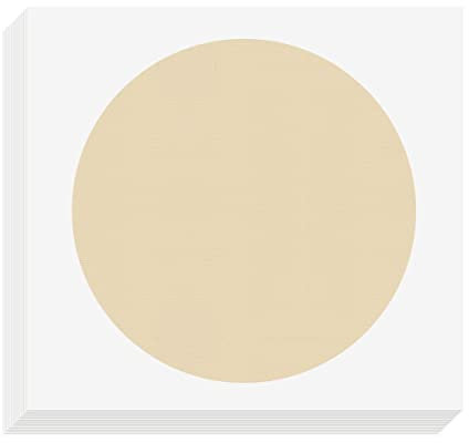 Lot de 10 feuilles de papier shikishi doux, papier de riz vierge Xuan pré-monté pour calligraphie chinoise, papier de riz Sumie vierge pour peinture, bricolage, graffiti, décoration murale (Sheng Xuan