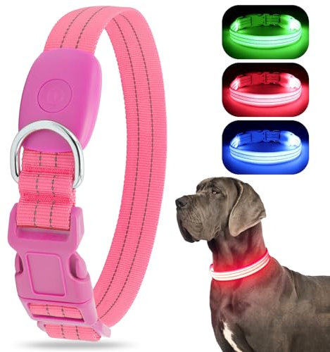 LED Leuchtend Hundehalsband, USB wiederaufladbar, wasserdicht, blinkendes Halsband, leuchtet im Dunkeln, für kleine, mittelgroße und große Hunde, verstellbar, Sicherheit für die Nacht