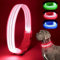 LED Leuchtend Hundehalsband, USB wiederaufladbar, wasserdicht, blinkendes Halsband, leuchtet im Dunkeln, für kleine, mittelgroße und große Hunde, verstellbar, Sicherheit für die Nacht