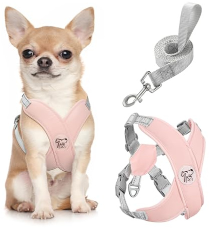 Pawaboo Arnés Perros con Correa, Arnes Tipo Chaleco para Perros Pequeños Medianos, Arnés Ajustable Antitirones Transpirable Acolchado de Forma X para Cachorros Gatos Caminar Entrenamiento, S, Rosa