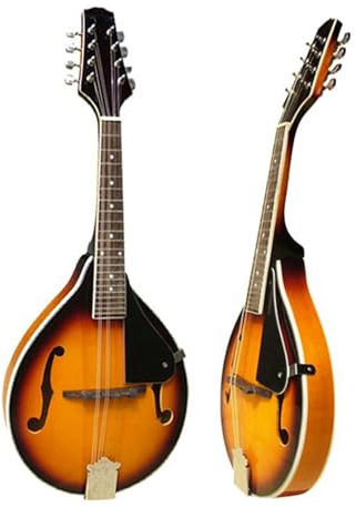 Professional Mandoline Instrument Handmade Solid Wood Veneer Kit Eight-string Mandolin Instrument Full Single Mandolin(Set 5)