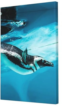 OUSIKA Humboldt Pinguin, auch Peruanischer Pinguin genannt, Leinwand-Kunst, moderne Drucke, Kunstwerk, Poster, Wandgemälde, Heimdekoration für Wohnzimmer, Schlafzimmer, Küche, 40,6 x 61 cm