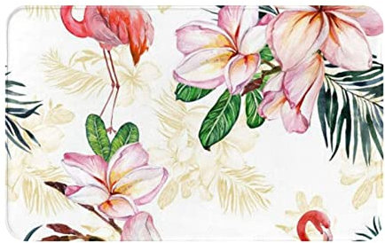 AAPIKA Tapis de porte en flanelle imprimé flamant rose 80 x 49 cm – Durable, facile à nettoyer