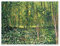 Bäume und Unterholz Poster von Vincent van Gogh 120 x 90 cm Grün Impressionismus Wanddeko