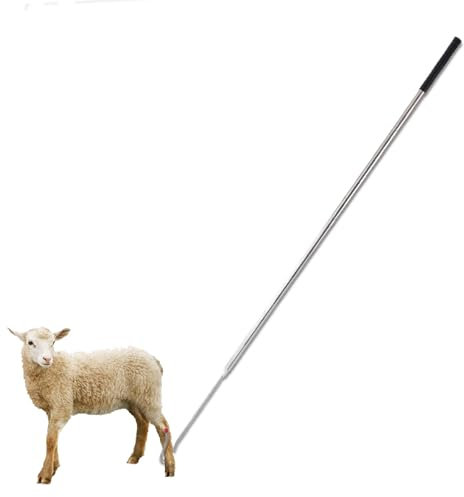 Aiupuyer Gancho de Pata de Cazador de Cabras extraíble, Poste de Gancho de Trampa de Patas de Aves de Corral de Acero es imprescindible para Granjas y Granjas de cría La Captura de