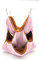 RatsLive® Nagetier Dreifach Hängematte für Ratten, Hamster, Chinchillas und Eichhörnchen 35 x 35 cm (Pink)