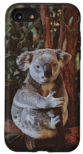 Koala Hülle für iPhone SE (2020) / 7 / 8