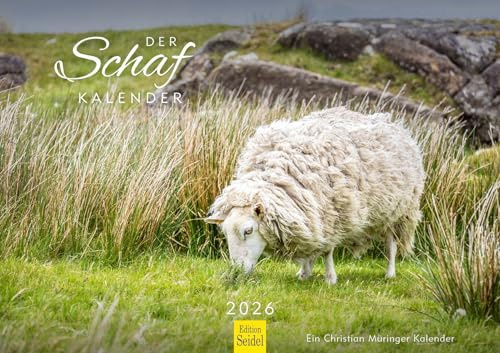 Edition Seidel Premium Kalender Der Schaf Kalender 2026 Format DIN A3 Wandkalender Tierkalender Schafe Lamm Bock Haustiere Christian Müringer