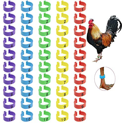 YANGWEN Huhn Bein Ringe,50PCS nummeriert Clip auf Bein Ringe mehrere Farbe Huhn Identifikation Bein Bands nummeriert Clip auf Bein Ringe Fuß Runde Tag Clips für Huhn Ente Taube Gans (16mm)