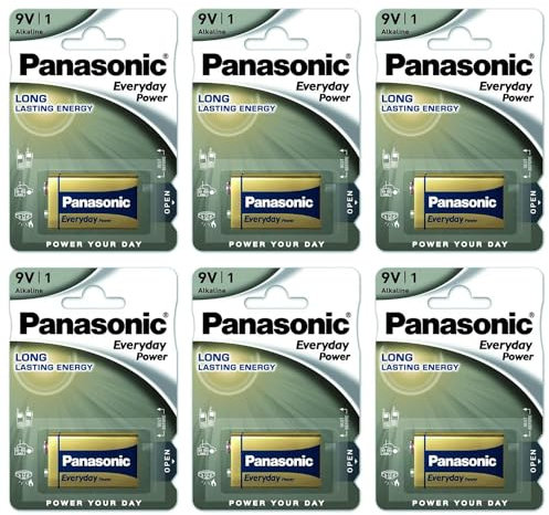 PANASONIC Lot de 6 Blisters de 1 Pile Alcaline Everyday Power Silver Cube 6LF22-9V