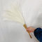 10 fiori artificiali, decorazione per feste di nozze, soffice erba della pampa per la casa, pianta finta con canna, per feste di nozze (crema)